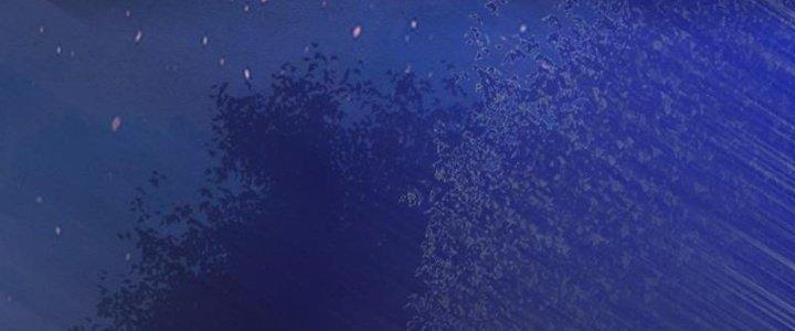 Trường Sinh Đạo Chapter 74 - Trang 2