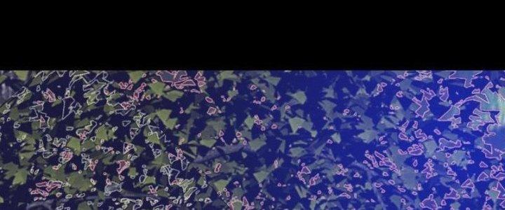 Trường Sinh Đạo Chapter 76 - Next Chapter 77