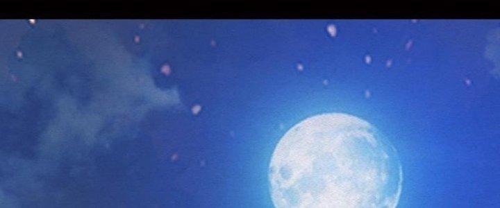 Trường Sinh Đạo Chapter 76 - Next Chapter 77