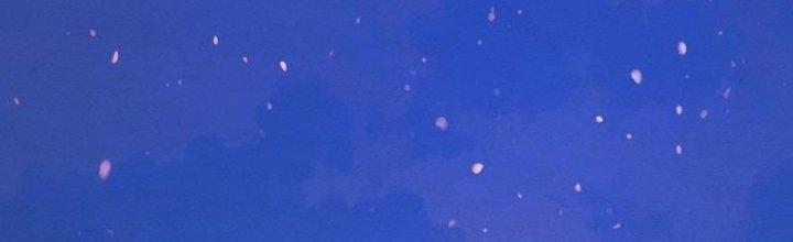 Trường Sinh Đạo Chapter 76 - Next Chapter 77