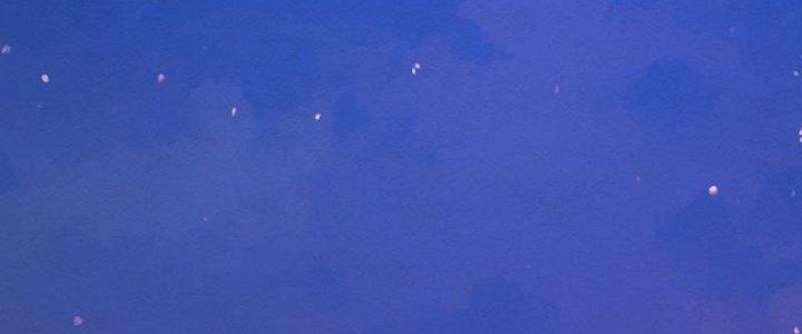 Trường Sinh Đạo Chapter 76 - Next Chapter 77