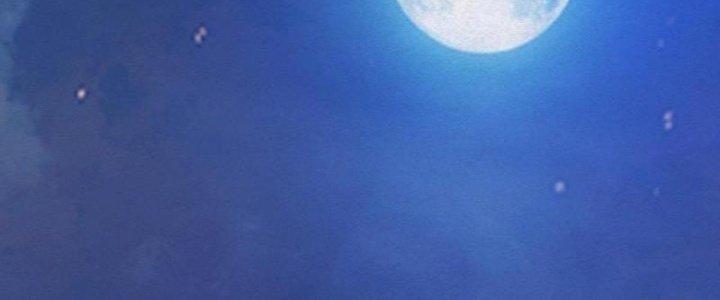 Trường Sinh Đạo Chapter 76 - Next Chapter 77