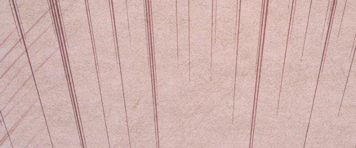 Trường Sinh Đạo Chapter 78 - Trang 2