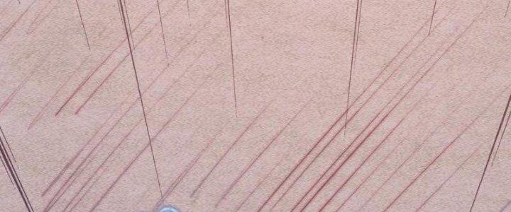 Trường Sinh Đạo Chapter 78 - Trang 2