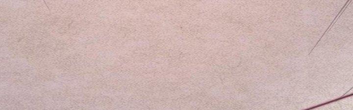 Trường Sinh Đạo Chapter 78 - Trang 2