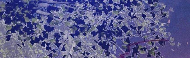 Trường Sinh Đạo Chapter 79 - Trang 2