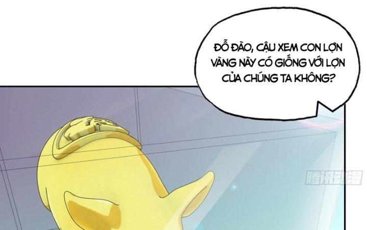 Tôi Chuyển Vàng Tại Mạt Thế Chapter 457 - Trang 4