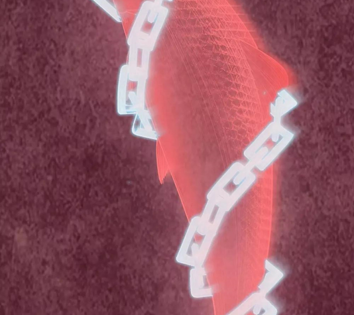 Kẻ Thách Thức Hay Nhà Không Tưởng Chapter 27 - Trang 2