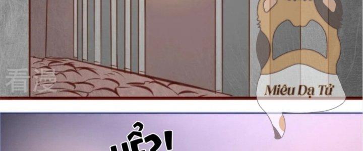 Xuyên Nhanh Chi Xà Phòng Trêu Người Chapter 16 - Trang 2