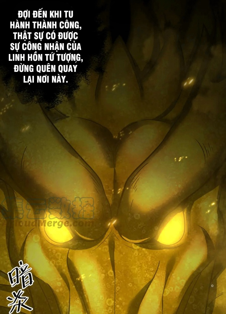 Các Ngươi Tu Tiên Còn Ta Rút Thẻ Chapter 27 - Trang 3