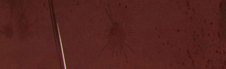 Bóng Ma Ác Quỷ Chapter 12 - Next Chapter 13