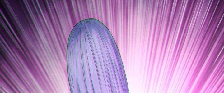 Bóng Ma Ác Quỷ Chapter 12 - Next Chapter 13