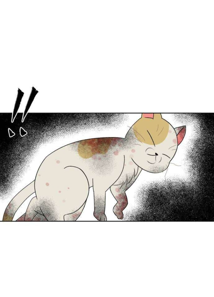 Khuôn Mặt Thiên Tài Chapter 0 - Trang 2