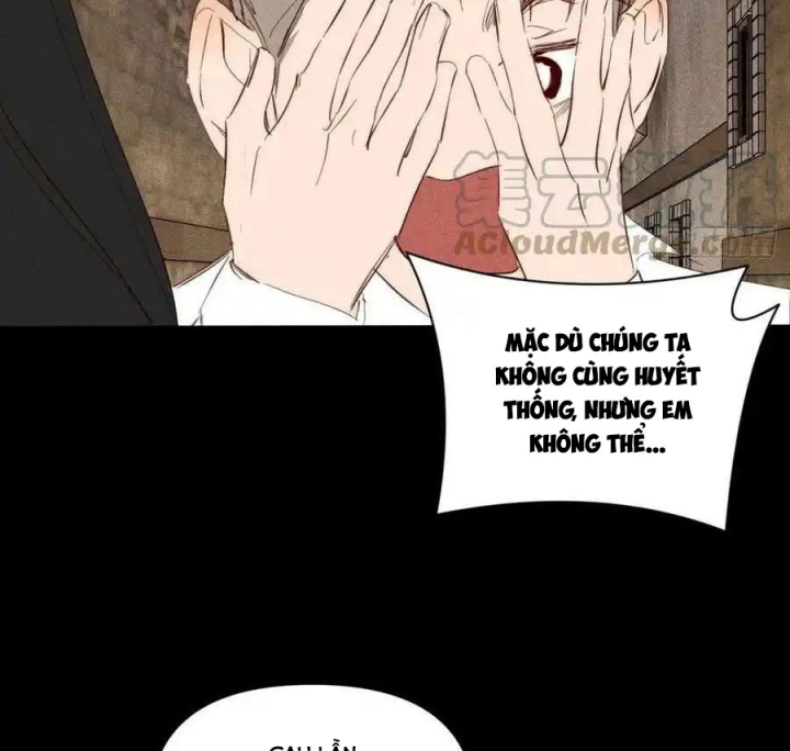Hoàng Tử Bé Chapter 40.5 - Next Chapter 41