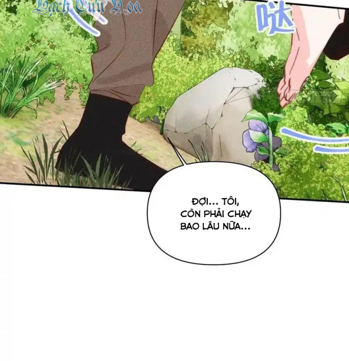 Hoàng Tử Bé Chapter 40.5 - Next Chapter 41