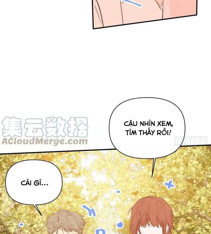 Hoàng Tử Bé Chapter 41.1 - Next Chapter 41.2