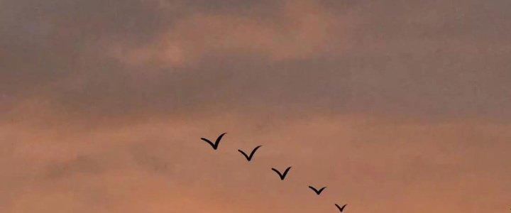 Thành Tựu Của Ta Rất Nhiều Chapter 205 - Trang 3