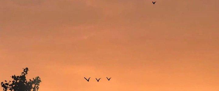 Thành Tựu Của Ta Rất Nhiều Chapter 205 - Trang 3