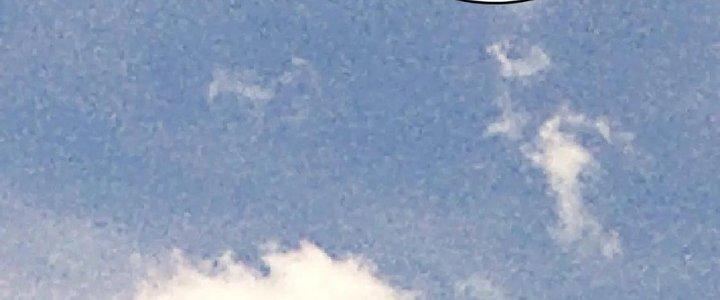 Thành Tựu Của Ta Rất Nhiều Chapter 208 - Trang 3