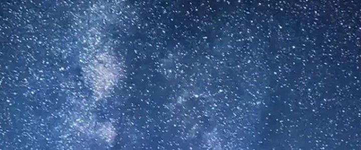 Thành Tựu Của Ta Rất Nhiều Chapter 208 - Trang 3