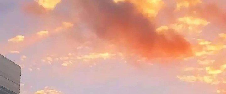 Thành Tựu Của Ta Rất Nhiều Chapter 210 - Trang 3