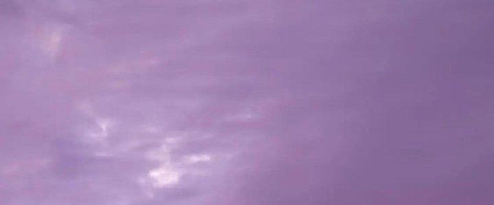 Thành Tựu Của Ta Rất Nhiều Chapter 217 - Trang 3