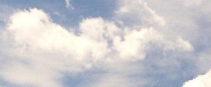 Thành Tựu Của Ta Rất Nhiều Chapter 218 - Trang 3