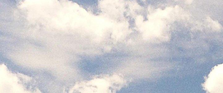 Thành Tựu Của Ta Rất Nhiều Chapter 218 - Trang 3