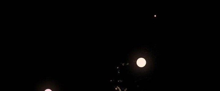 Thôn Trưởng Thôn Tân Thủ Chapter 67 - Trang 3