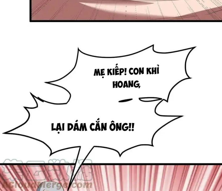 Ta Quyết Không Thành Phật Chapter 32 - Trang 3