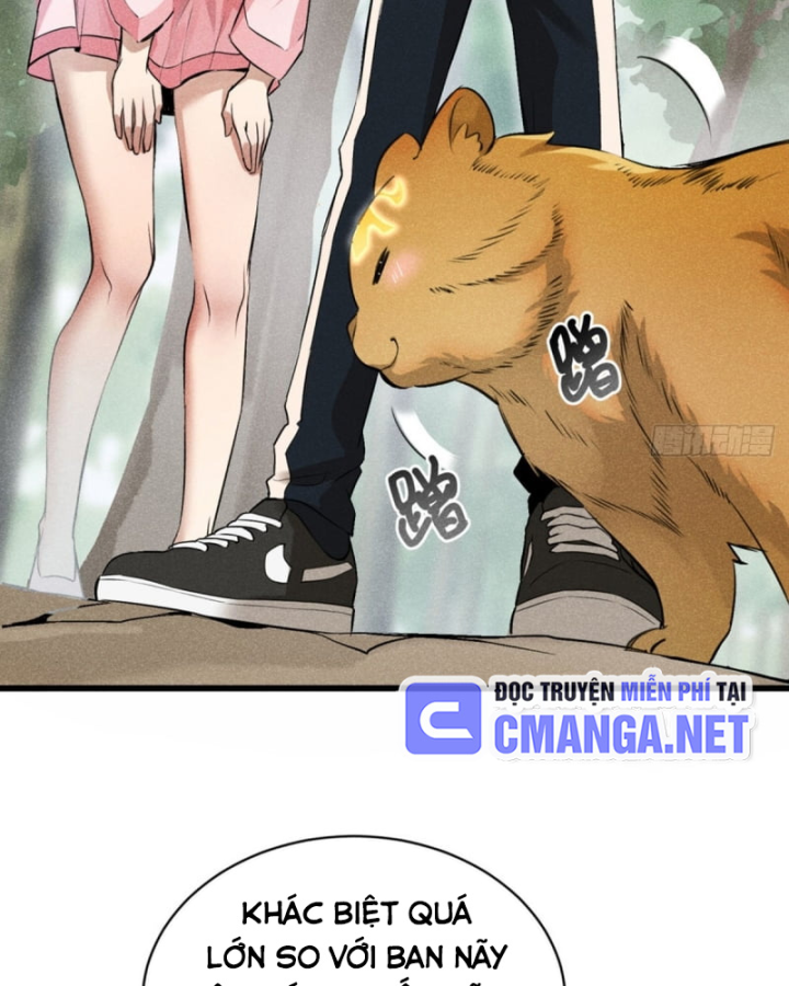 Dị Thú Của Ta Chỉ Có Trăm Triệu Điểm Cao Chapter 5 - Trang 2