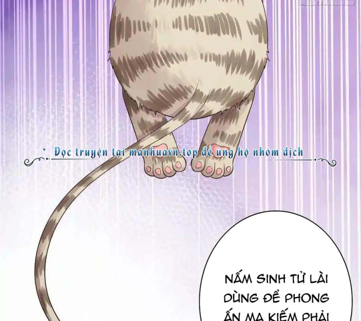 Pure Love Succubus Scraps Sword Fairy Chapter 40 - Trang 3