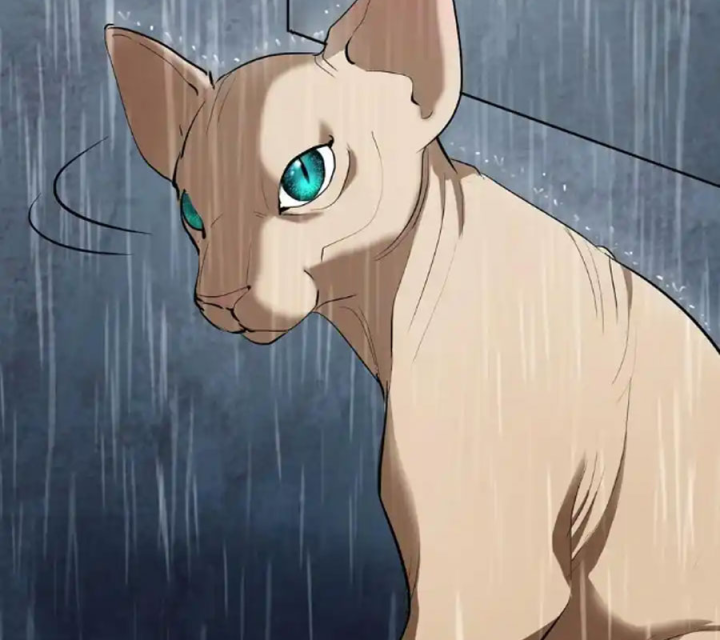 Ta Quyết Không Thành Phật Chapter 48 - Trang 3