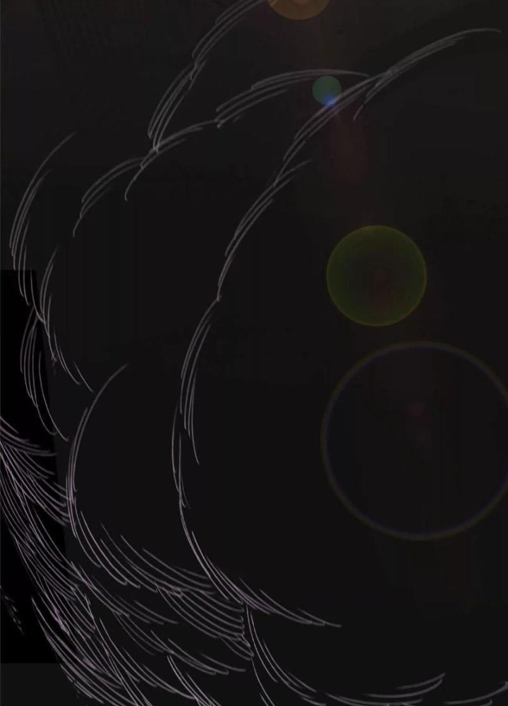 Ngao Bái Chuyển Sinh Thế Giới Khác Chapter 27 - Trang 2