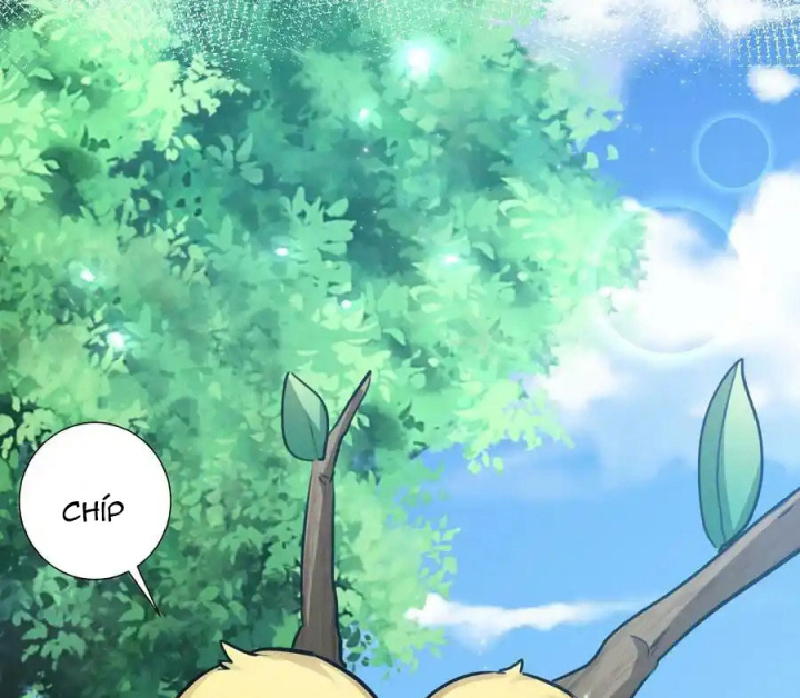 Toàn Bộ Tu Chân Giới Muội Tử Muốn Bắt Ta Chapter 138 - Trang 4