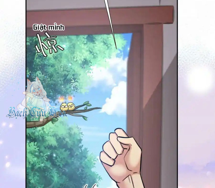 Toàn Bộ Tu Chân Giới Muội Tử Muốn Bắt Ta Chapter 138 - Trang 4