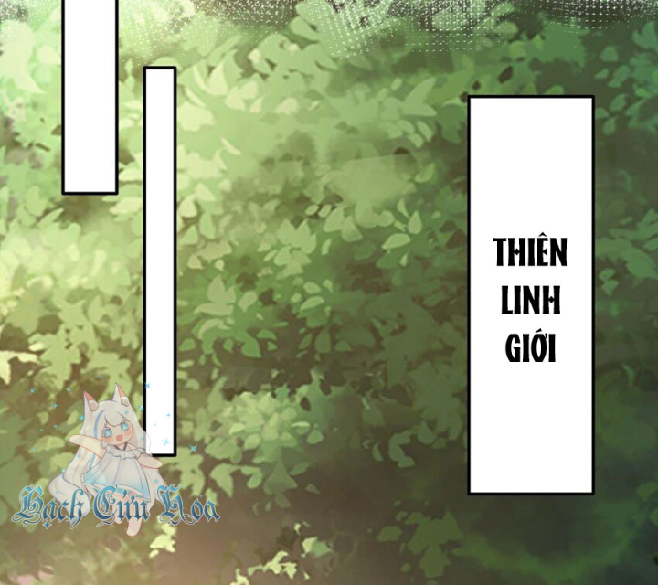 Toàn Bộ Tu Chân Giới Muội Tử Muốn Bắt Ta Chapter 139 - Trang 4