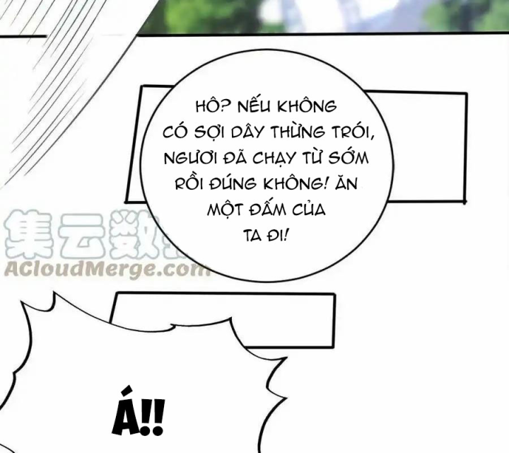 Bị bắt trở thành vô địch Thánh Nữ Chapter 43 - Trang 2
