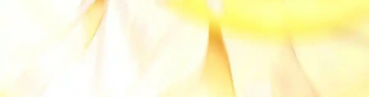 Bị bắt trở thành vô địch Thánh Nữ Chapter 50 - Trang 2