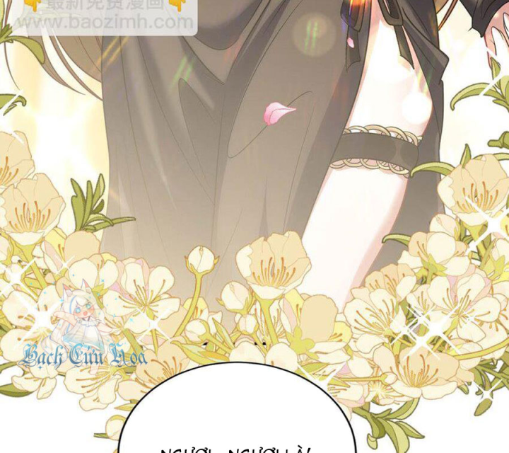 Bị bắt trở thành vô địch Thánh Nữ Chapter 55 - Trang 2