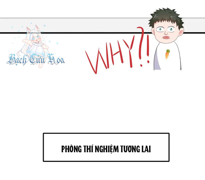Vô Địch Học Bạ Hệ Thống Chapter 241 - Trang 4