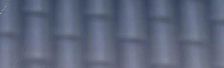 Yêu Nữ Trốn Chỗ Nào Chapter 14 - Trang 2