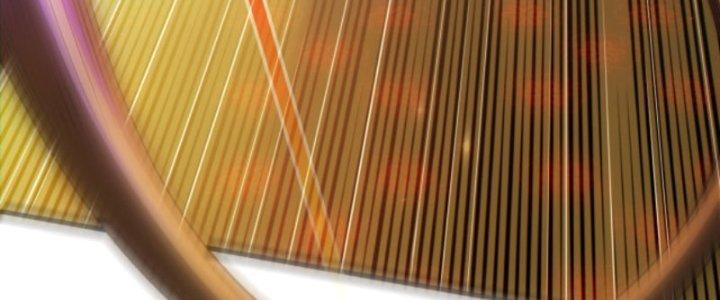 Ta Bất Tử, Coi Tự Bạo Là Công Kích Bình Thường Chapter 10 - Trang 3