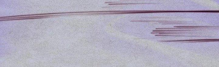 Trường Sinh Đạo Chapter 80 - Trang 2