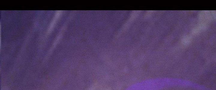 Trường Sinh Đạo Chapter 81 - Trang 2