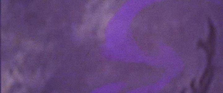 Trường Sinh Đạo Chapter 81 - Trang 2