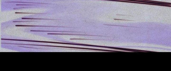 Trường Sinh Đạo Chapter 82 - Trang 2