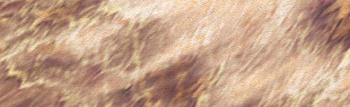 Trường Sinh Đạo Chapter 82 - Trang 2