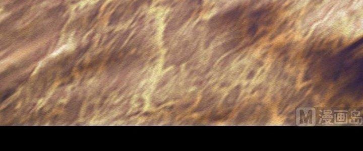 Trường Sinh Đạo Chapter 82 - Trang 2