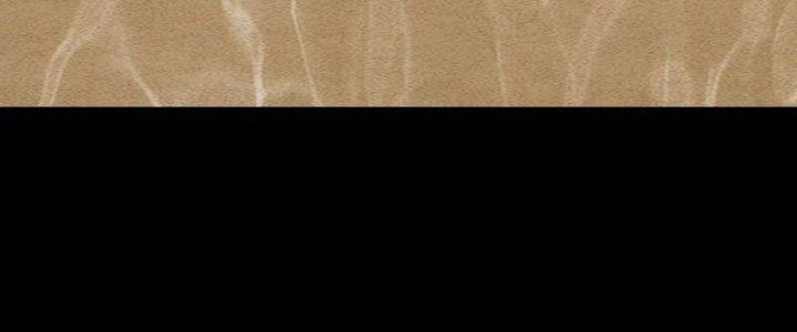 Trường Sinh Đạo Chapter 83 - Next Chapter 84